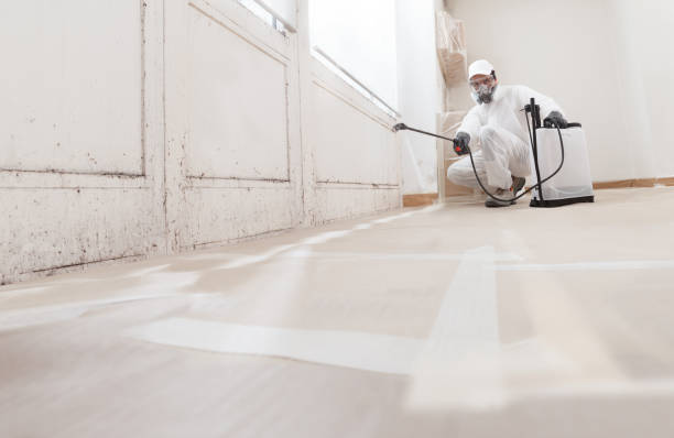 24/7 Emergency Crawl Space Mold Removal experts in Brunswick, GA
