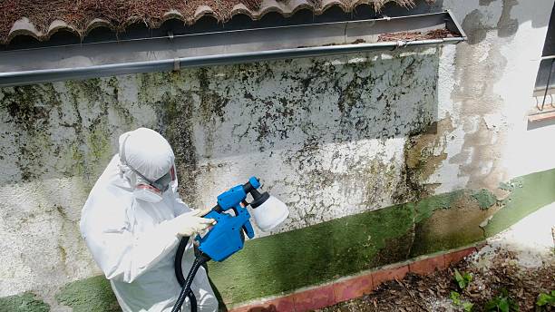 Trusted Mold Testing service in Brunswick, GA - Cheap Mold Removal